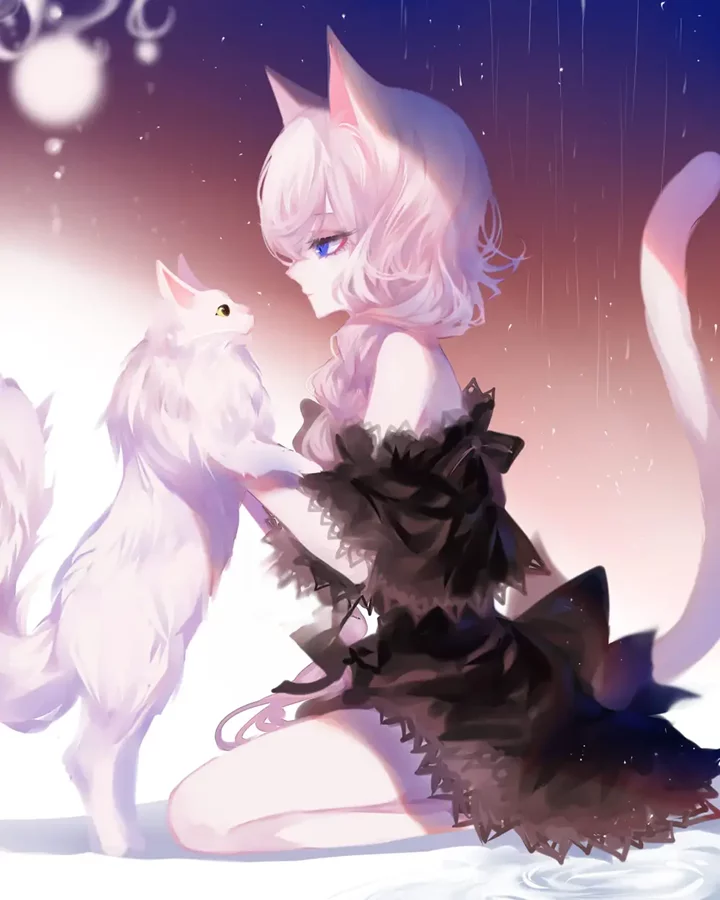 Anime nữ mèo cute